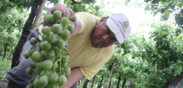 Los obreros de viña ya reciben ayuda nacional Los obreros de viña ya reciben ayuda nacional