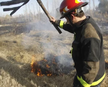 Las multas por las quemas ilegales cayeron un 47% Las multas por las quemas ilegales cayeron un 47%