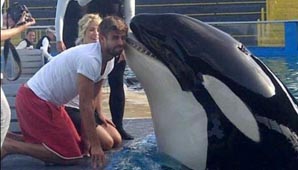 Piqué, Shakira y la orca Piqué, Shakira y la orca