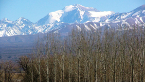 San Juan: las reservas hoteleras alcanzan el 57% San Juan: las reservas hoteleras alcanzan el 57%