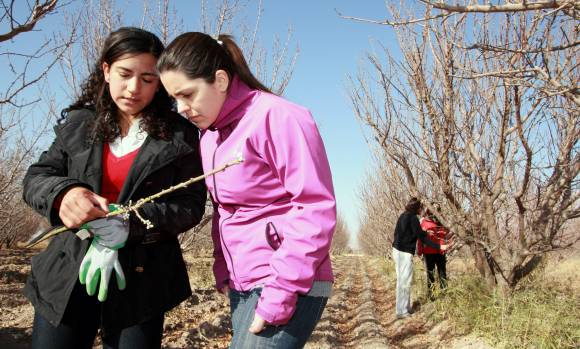 La experiencia en primera persona La experiencia en primera persona
