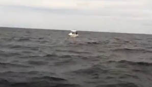 Sorpresita Sorpresita