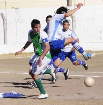 Árbol Verde también manda Árbol Verde también manda