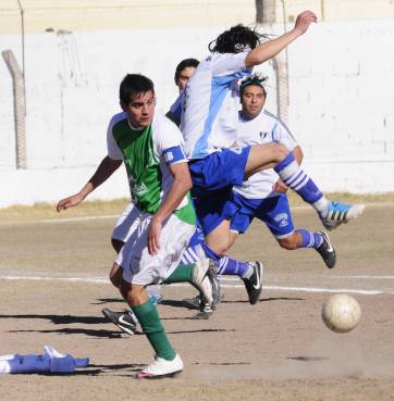Árbol Verde también manda Árbol Verde también manda