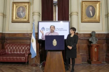 Un proyecto de ley agiliza casos de violencia familiar Un proyecto de ley agiliza casos de violencia familiar