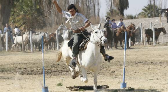 Furor por el salto del cuero Furor por el salto del cuero