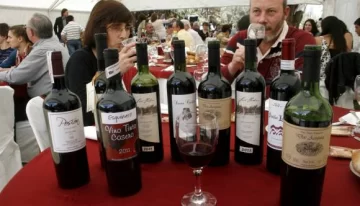 Vino casero: Gran Oro a Pocito y San Martín Vino casero: Gran Oro a Pocito y San Martín