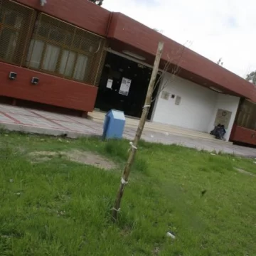 Reforestan el CUIM Reforestan el CUIM