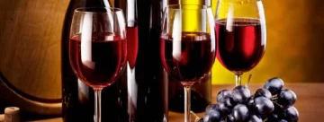 Vino orgánico, una opción ecologista Vino orgánico, una opción ecologista