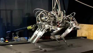 Más rápido que Bolt Más rápido que Bolt