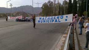 Más de 150 personas pidieron por el cierre del Parque Faunístico Más de 150 personas pidieron por el cierre del Parque Faunístico