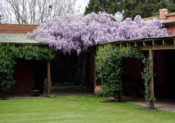 Impacto de tapiz Impacto de tapiz