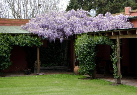 Impacto de tapiz Impacto de tapiz