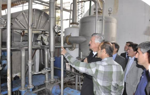Gran acierto del operativo destinado a producir mosto Gran acierto del operativo destinado a producir mosto