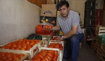Por lluvias en zonas productoras, subió al doble el tomate Por lluvias en zonas productoras, subió al doble el tomate
