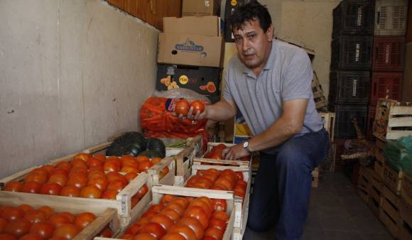 Por lluvias en zonas productoras, subió al doble el tomate Por lluvias en zonas productoras, subió al doble el tomate
