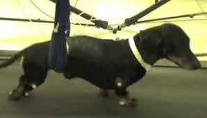 Avance esperanzador Avance esperanzador