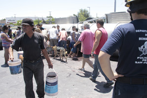Volcó un tanque con vino y hubo revuelo para llevárselo Volcó un tanque con vino y hubo revuelo para llevárselo