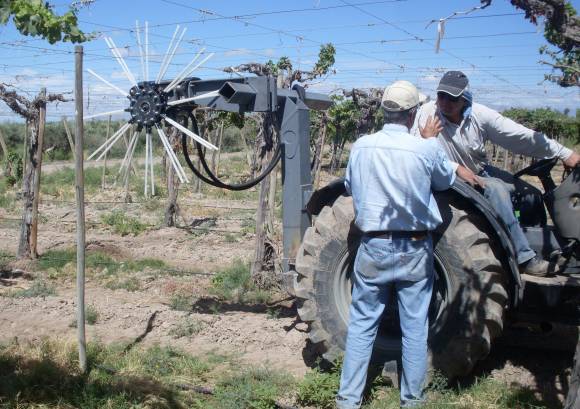 Está en marcha la primera cosechadora de uva local Está en marcha la primera cosechadora de uva local