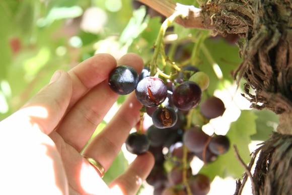 Carpintería fue sorprendida por fuertes lluvias y granizo Carpintería fue sorprendida por fuertes lluvias y granizo