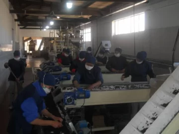 Comenzó la cosecha y el secado de uva para pasa en San Juan Comenzó la cosecha y el secado de uva para pasa en San Juan