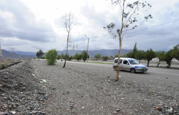 Dicen que forestarán más de 2 kilómetros de baldío Dicen que forestarán más de 2 kilómetros de baldío