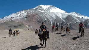 Emoción y piel de gallina de los famosos al arriar la bandera Emoción y piel de gallina de los famosos al arriar la bandera