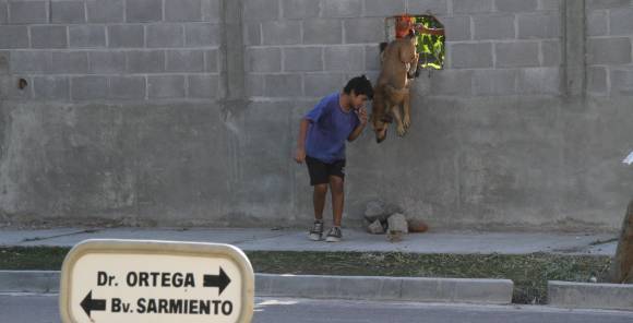 Parque de Rawson: sigue la lucha contra la inseguridad Parque de Rawson: sigue la lucha contra la inseguridad