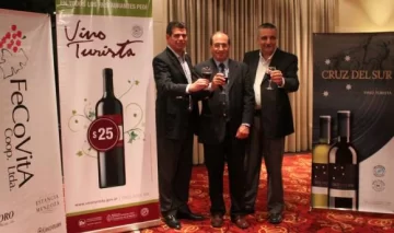 Fecovita ya lanzó al mercado su vino turista “Cruz del Sur” Fecovita ya lanzó al mercado su vino turista “Cruz del Sur”