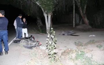 Tres jóvenes y un hombre mueren en cuatro choques Tres jóvenes y un hombre mueren en cuatro choques