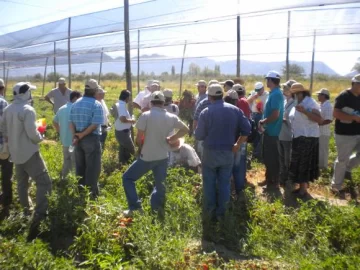 I Día de Campo de Tomate para Industria I Día de Campo de Tomate para Industria