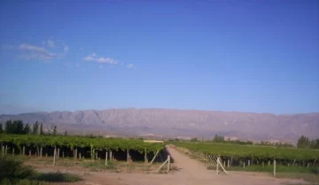 Popes de 44 países vienen a un cónclave vitivinícola Popes de 44 países vienen a un cónclave vitivinícola