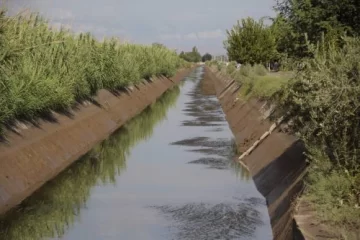 Cronograma de cortas para red de riego Cronograma de cortas para red de riego