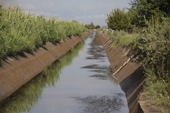 Cronograma de cortas para red de riego Cronograma de cortas para red de riego