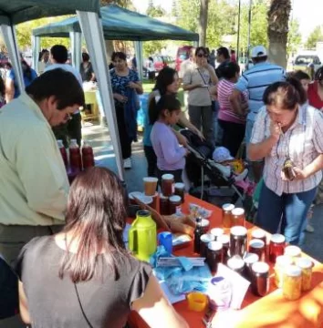 Aniversario de feria franca de Jáchal Aniversario de feria franca de Jáchal