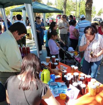 Aniversario de feria franca de Jáchal Aniversario de feria franca de Jáchal