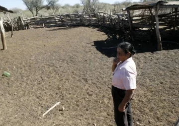 Roban unas 100 cabras en el puesto donde hubo un crimen Roban unas 100 cabras en el puesto donde hubo un crimen