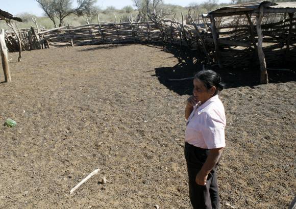 Roban unas 100 cabras en el puesto donde hubo un crimen Roban unas 100 cabras en el puesto donde hubo un crimen