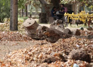 Enología: sin faltar a clase, reclamaron y los escucharon Enología: sin faltar a clase, reclamaron y los escucharon