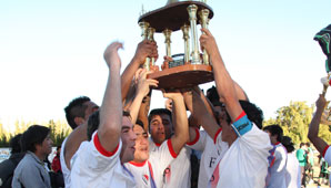 Sacó Oro de las piedras Sacó Oro de las piedras