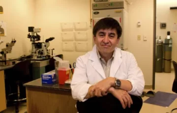 Extraen células madre de embriones clonados Extraen células madre de embriones clonados