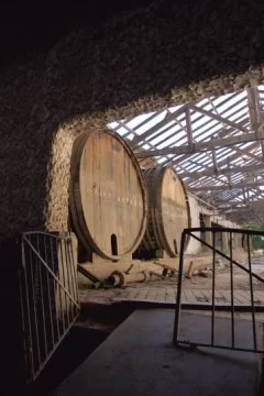 La cúspide, el ocaso y la resurrección La cúspide, el ocaso y la resurrección