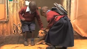 Perro cría a dos niños en Kenia Perro cría a dos niños en Kenia