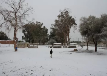 Una gran nevada no le dio tregua a los jachalleros Una gran nevada no le dio tregua a los jachalleros