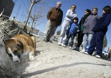 Conmoción en un barrio por la matanza de perros Conmoción en un barrio por la matanza de perros