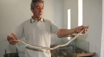 Faunístico: 19% más de animales desde el cierre Faunístico: 19% más de animales desde el cierre