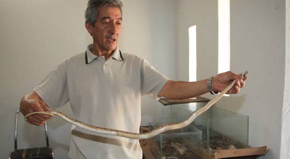 Faunístico: 19% más de animales desde el cierre Faunístico: 19% más de animales desde el cierre