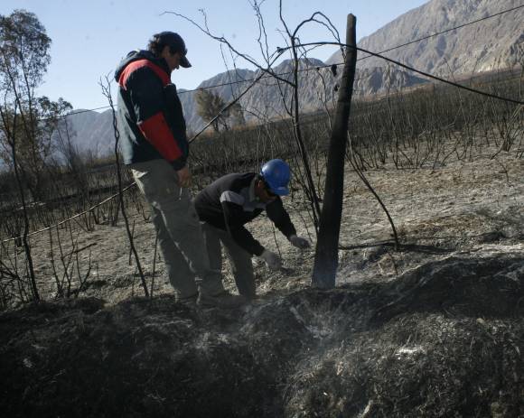 Tras el incendio, menos daños de lo que esperaban Tras el incendio, menos daños de lo que esperaban
