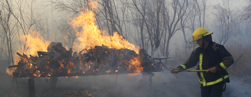 Zonda: un incendio arrasó con parte del área protegida Presidente Sarmiento Zonda: un incendio arrasó con parte del área protegida Presidente Sarmiento