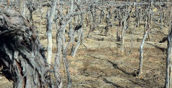 Al rescate de una tradición Al rescate de una tradición